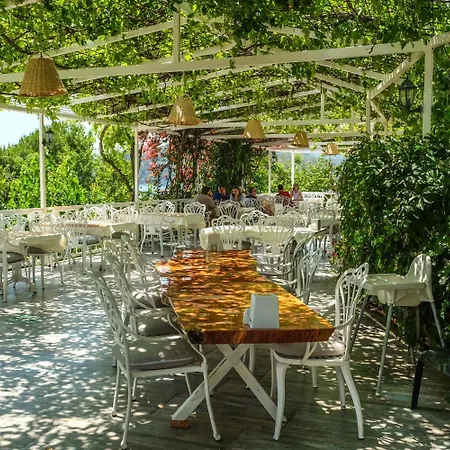 Hotel The Kumsal